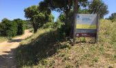 Trail Walking Cavalaire-sur-Mer - Cavalaire 2  - Photo 2