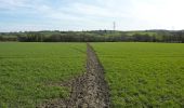 Excursión A pie North East Derbyshire - North Wingfield Walk - Photo 2