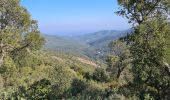 Tour Wandern Sainte-Maxime - Vers Peigros - Photo 11