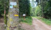 Trail Walking Plancher-les-Mines - 130722 - La planche des belles - au pieds du Ballons d’Alsaces - Photo 20