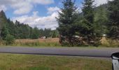 Tour Wandern Xonrupt-Longemer - Retournemer  - Photo 1