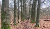 Trail On foot Rheden - Dwars door Gelderland (15) - Photo 6