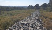 Percorso Marcia Villegly - Les Quatre vents - Photo 1