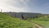 Trail Walking Entremont-le-Vieux - Refuge de l'Alpette - Photo 9