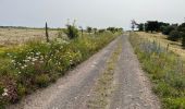 Trail Walking Le Vernet-Sainte-Marguerite - Le Puy d’Alou - Photo 1