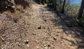 Excursión Bici de montaña Val-d'Aigoual - Fait GTMC E6 Bez et Esparon - Photo 4