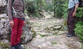 Trail Walking Claret - de claret vers corconne - Photo 17