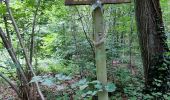 Percorso Marcia Chaumont-Gistoux - Sur les traces de la préhistoire  - Photo 20