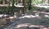 Trail Walking Landrichamps - Landrichamps 100622 - Photo 15