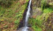 Trail Walking Bad Rippoldsau-Schapbach - Bad Rippoldsau - cascade de Burgbach – lac de retenue Kinzig -  cascade du Büstenloch - Photo 13