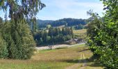 Excursión Senderismo Les Rousses - GTJ 7 Les Rousses/Lajoux Le Manon - Photo 3