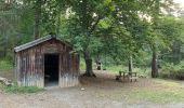 Tour Wandern Chorges - Chorges montagne du bois du Ruban - Photo 13