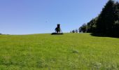 Percorso Marcia Vianden - Randonnée au  Natuurpark à partir de Vianden - Photo 6