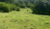Tocht Trail Sainte-Anne - Modette - Photo 4