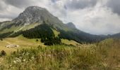 Trail Walking Talloires-Montmin - BORNES: UN PEU DE DENIVELE AU DEPART DE PLANFAIT - Photo 7
