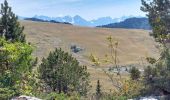 Tocht Stappen Entremont-le-Vieux - la Plagne le Pinet :en boucle partielle à  partir de la bifurcation GR9 et montée au Pinet - Photo 4