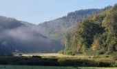 Trail Walking Bouillon - rando rochehaut 5-10-2024 - Photo 17