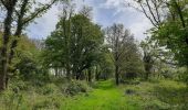 Randonnée Marche Modave - Promenade du rocher de vieux château  - Photo 5