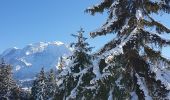 Excursión Raquetas de nieve Demi-Quartier - Montée chalet de la Vielle-Beauregard-la Ravine. Descente Fouettaz - Photo 4