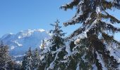 Tocht Sneeuwschoenen Demi-Quartier - Montée chalet de la Vielle-Beauregard-la Ravine. Descente Fouettaz - Photo 4