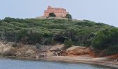 Tour Zu Fuß Hyères - Ile de Porquerolles côté ouest 24-05-2024 - Photo 8