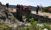 Randonnée Marche Bormes-les-Mimosas - Vallons de la Gourre et des Caunes  - Photo 2