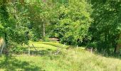 Percorso Marcia Villers-le-Bouillet - gotroul . merexhe . doyard . champia . antheit . gotroul - Photo 19