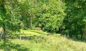 Tocht Stappen Villers-le-Bouillet - gotroul . merexhe . doyard . champia . antheit . gotroul - Photo 19