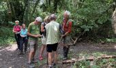 Trail Walking Rochefort - Han-sÃ»r-Lesse - Photo 1