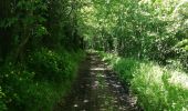 Tour Wandern Condé-en-Normandie - Condé sur Noireau - Photo 4