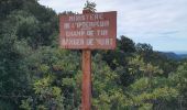 Tour Wandern La Farlède - sommet du Coudon en partant de La Farlède - Photo 2