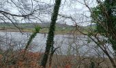 Randonnée Marche nordique Landerneau - landerneau forest landerneau - Photo 1