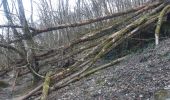 Excursión Senderismo Houffalize - ollomont . Le herou . les ondes . Le chesle . podri les ecwarais . ollomont  - Photo 18