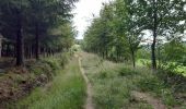 Trail Walking Stavelot - rando de la truite : stavelot . challes . warche . chevaufosse . challes . stavelot - Photo 2