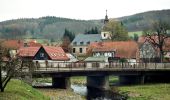 Tour Zu Fuß Mansfeld - Kuhbeek Wanderweg - Photo 7