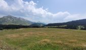 Tour Wandern Manigod - rando manigod 18-07-2023 - Photo 4