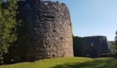 Trail Walking Schramberg - Schramberg - Châteaux de Falkenstein et de Hohenschramberg - Photo 11