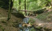 Tocht Stappen Vresse-sur-Semois - rando laforêt 6/08/2020 - Photo 8