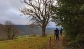 Randonnée Marche Viroinval - Balade dans le Viroinval - De Vierves à Olloy - Photo 3