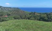 Excursión Senderismo Sainte-Marie - Boucle La Philippe - Morne Tringle - Photo 9