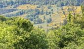 Trail Walking Goldbach-Altenbach - goldbach - Photo 6