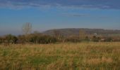 Tocht Noords wandelen Bergen - Hyon Mons - Photo 10