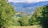 Tour Wandern Entrelacs - cessens tours cesar - Photo 2