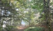 Tour Wandern Le Bessat - Croix de Chaubouret - Crêt de Botte - Col de l'Oeuillon  - Photo 16