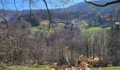 Trail Walking Sewen - Sewen - abris de Dolleren et du Sommerseite - Lachtelweiher - Col du Lochberg - Wissgrut - Photo 1