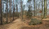 Tocht Te voet Dahlen - Rundweg Schmannewitz-Rote Brücke-Schmannewitz - Photo 6