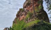 Trail Walking Niedersteinbach - Froensbourg - Photo 6