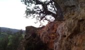 Randonnée Marche Trémolat - Grotte - Photo 7