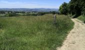 Randonnée Marche Chasselay - Le bois Chatelard - Photo 18