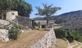 Trail Walking Vesseaux - Vaisseaux Col d'Auriolles 19km - Photo 3